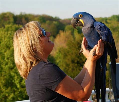 Wild bird rescue near me - Birds Of Paradise Sanctuary & Rescue, Inc., Bradenton, Florida. 16,755 likes · 4 talking about this · 1,902 were here. A 501c3 NON-PROFIT PARROT SANCTUARY - All donations are tax deductible